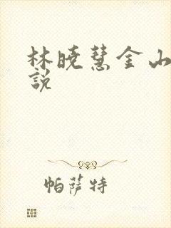 林晓慧金山的小说