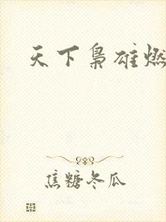 天下枭雄燃文