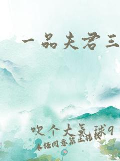 一品夫君三流妻