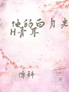 他的白月光HVH青耳