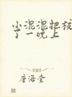 小混混把校草C了一晚上