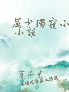 厉少独宠小娇妻 小说