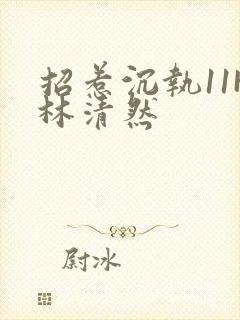 招惹沉执11H林清然