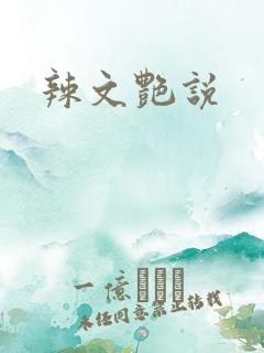 辣文艳说