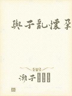 与子乱怀孕小说