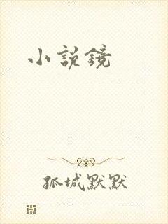 小说镜