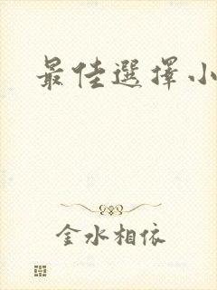 最佳选择小说