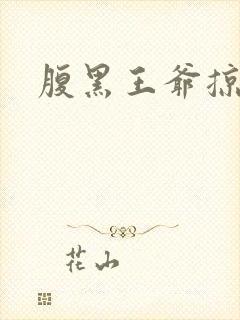 腹黑王爷掠邪妃