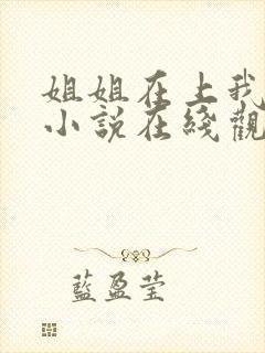 姐姐在上我在下小说在线观看