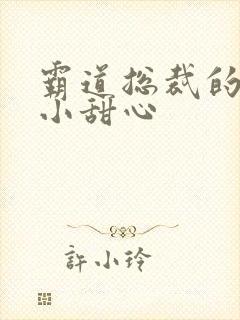 霸道总裁的宠爱小甜心