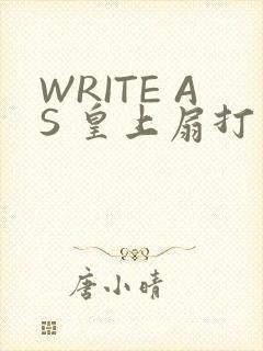 WRITE AS 皇上扇打