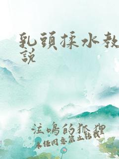 乳头揉水教室小说