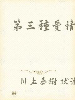 第三种爱情番外
