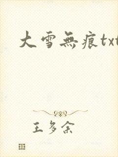大雪无痕txt