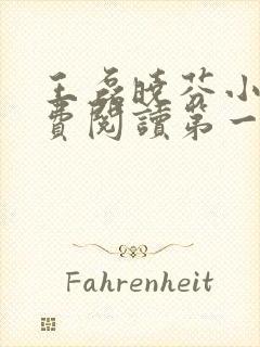 王磊晓芬小说免费阅读第一章