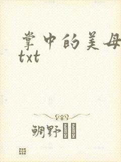 掌中的美母版主txt