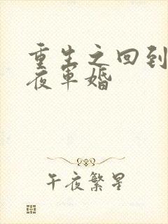 重生之回到新婚夜军婚