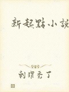 新起点小说网