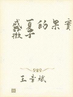 盛夏的果实 小薇子