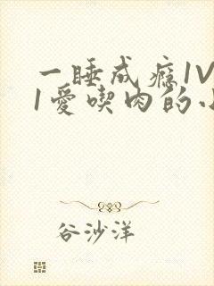 一睡成瘾1V 1爱吃肉的小丸子