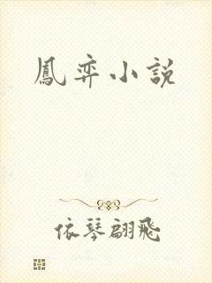 凤弈小说