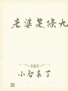 老婆是条九尾狐