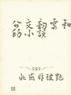 公交韵云和小健的小说