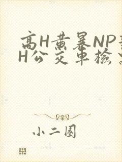高H黄暴NP辣H公交车检票员