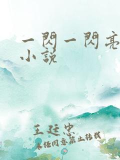 一闪一闪亮晶晶小说