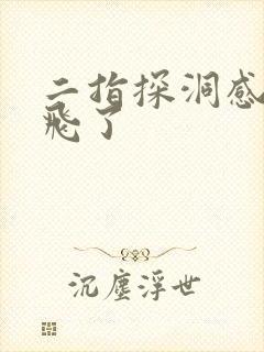 二指探洞感觉要飞了