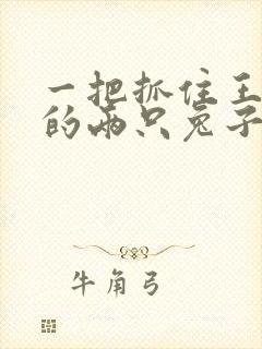 一把抓住王昭君的两只兔子