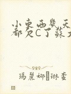 小东西几天没做都欠C了苏大深