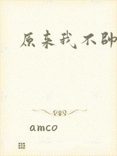 原来我不帅下载
