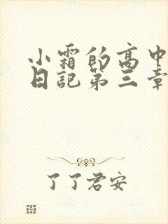 小霜的高中成长日记第三章