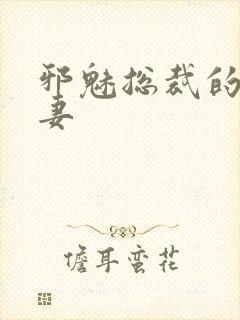 邪魅总裁的替身妻