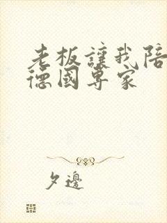 老板让我陪两个德国专家