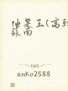 他是王(高干)苏南