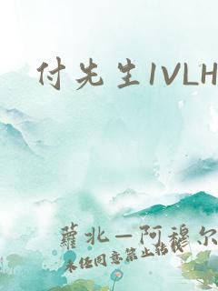 付先生1VLH