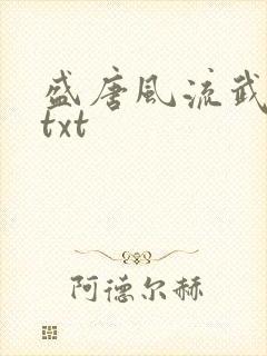 盛唐风流武状元txt