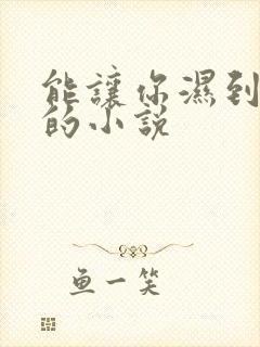 能让你湿到不行的小说