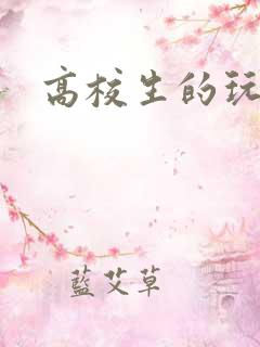 高校生的玩物