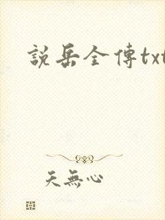 说岳全传txt