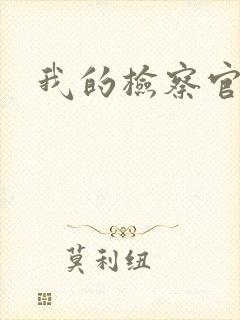 我的检察官先生