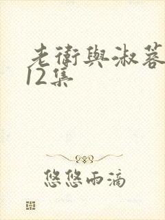 老卫与淑蓉1一12集