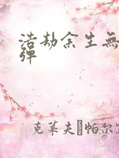 浩劫余生无限子弹