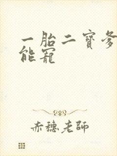 一胎二宝爹地超能宠