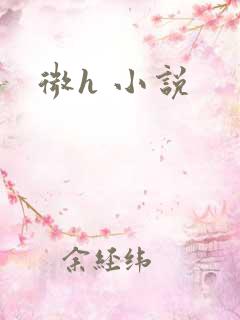 微h 小说