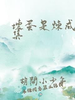 坏蛋是炼成3全集