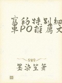 写的特别细的开车PO推荐文多人