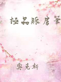 极品账房笔趣阁